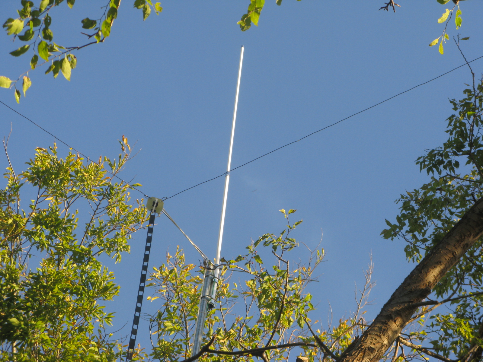 Two Meter Antenna picture 1